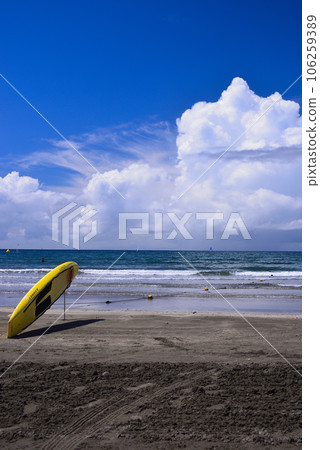 Summer Sea 106259389