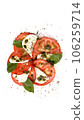 top view of caprese salad 106259714