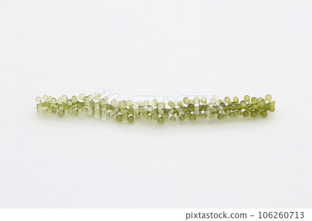 白色背景上的一顆海葡萄 白色背景上的一顆海葡萄 106260713