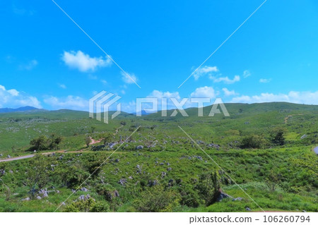 [Yamaguchi Prefecture] Akiyoshidai Quasi-National Park 106260794