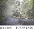 Fallen tree disaster due to heavy rain Fallen tree disaster due to heavy rain 106261250