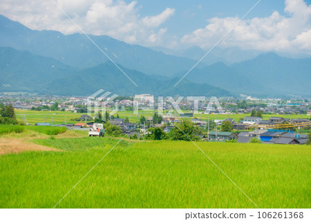 輕卡車和田園風光【北安津郡池田町】 106261368