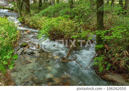 夏天的上高地 106262050