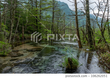 夏天的上高地 106262051