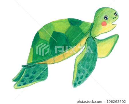 手繪可愛綠海龜插畫 106262302