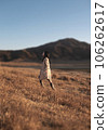 A woman wearing a trench coat walking along Kusasenri in Aso 106262617
