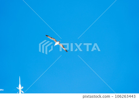 飛往藍天的核心直徑 飛往藍天的核心直徑 106263443