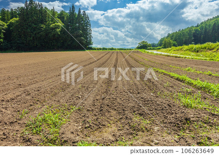 Ridged fields in the mountains [Nagano Prefecture] 106263649