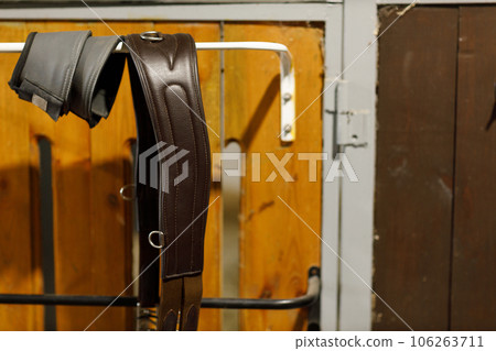 Protection hooves and harness saddle in the stable. 106263711