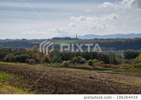 Autumn field crop area Autumn field crop area 106264438