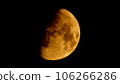 First quarter moon 106266286