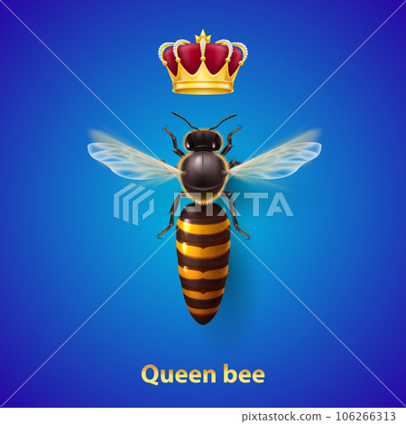 Bee Queen Bee Queen 106266313