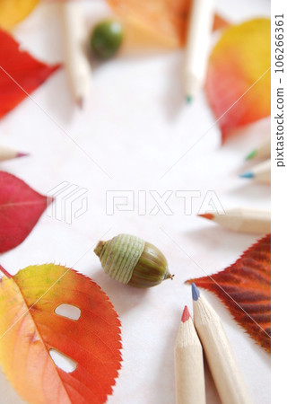 Acorns, autumn leaves and colored pencils 106266361