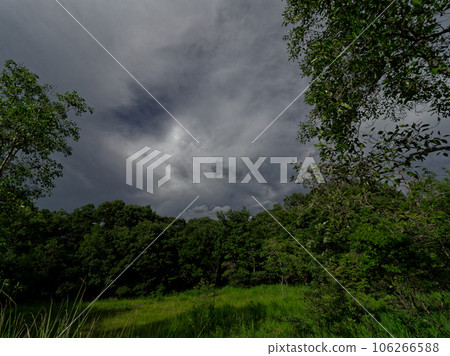 Approaching thundercloud Riparian forest in stormy weather 106266588