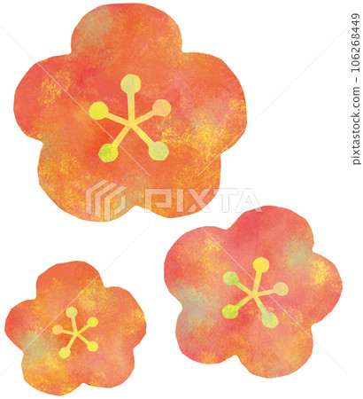 Plum blossom  106268449