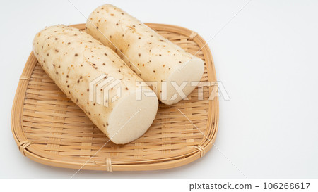 中國山藥 中國山藥 106268617