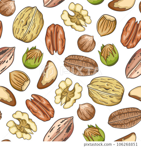 Pattern with walnut, pecan and hazelnuts. 106268851