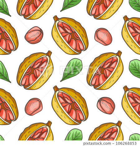 Hand drawn seamless pattern with cola nut. Hand drawn seamless pattern with cola nut. 106268853