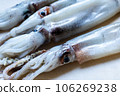 切板上的新鮮魷魚 106269238