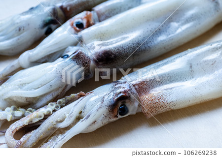 切板上的新鮮魷魚 106269238