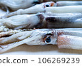 切板上的新鮮魷魚 106269239