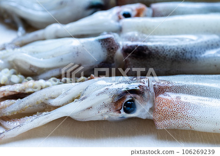 切板上的新鮮魷魚 切板上的新鮮魷魚 106269239
