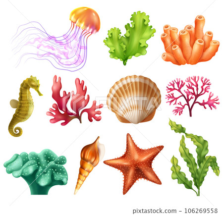 Underwater Organism Realistic Set 106269558