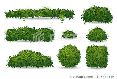 Bushes Realistic Set 106270356