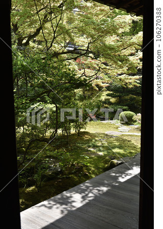 Sengokuji Temple Gyoen Park Sengokuji Temple Gyoen Park 106270388