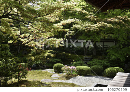 Sengokuji Temple Gyoen Park 106270399