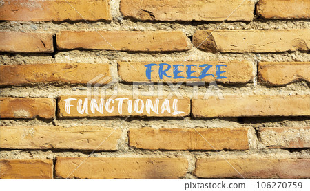 Functional freeze symbol. Concept words Functional freeze on beautiful brick wall. Beautiful red brown brick wall background. Business psychology functional freeze concept. Copy space. 106270759