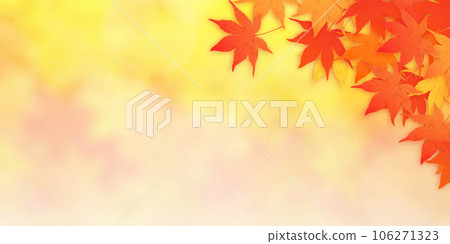 Autumn leaves wallpaper Autumn leaves wallpaper 106271323