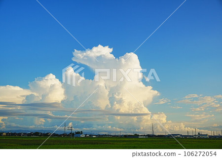 夏季積雨雲和稻田 夏季積雨雲和稻田 106272054