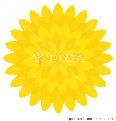 食用菊花 菊花 食用菊花 菊花 106272773