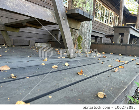 Fallen leaves on the street 106272883