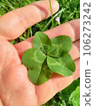 Five leaf clover 106273242