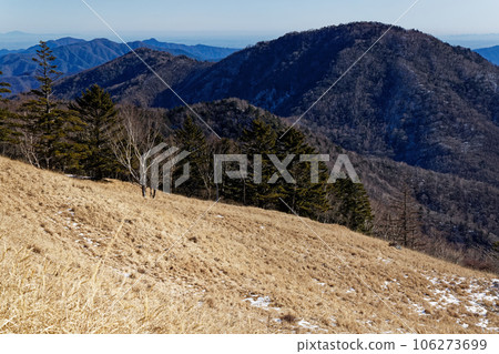 Distant view of Mt. Karigaharazuri and buildings in the city center from Shiratani Maru, the Daibosatsu Mountain Range 106273699