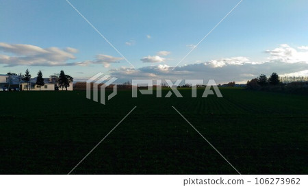 Blue sky of Sorachi plain 106273962