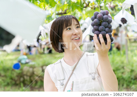 摘葡萄的女人 摘水果的女人 106274107