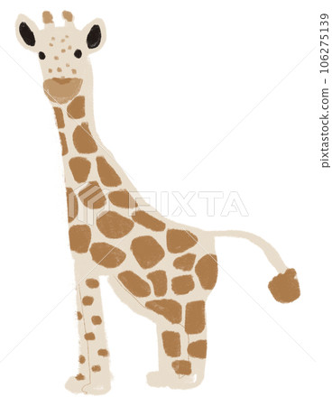 Giraffe Giraffe 106275139