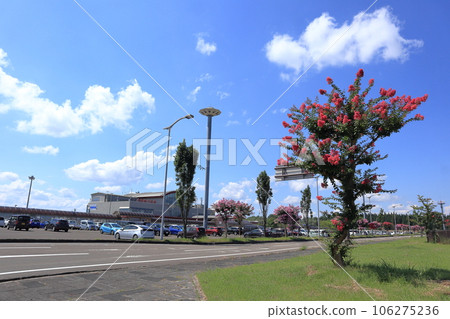Odate Noshiro Airport Terminal Building 106275236