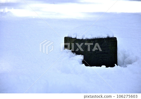 Tanzawa in winter, the snow-covered summit of Kurinoki-dong, the third-order triangulation point hidden in the snow (Kuri-no-ki Road) 106275603
