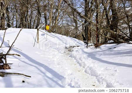白雪覆蓋的丹澤山、鍋割山脊上的大丸山頂 白雪覆蓋的丹澤山、鍋割山脊上的大丸山頂 106275718