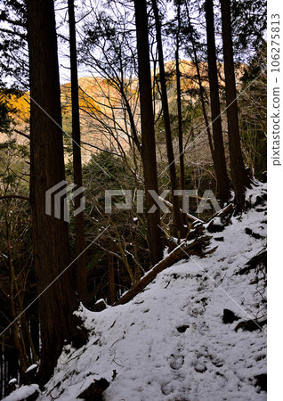 Komaru Ridge from Kogusadaira Ridge in Tanzawa in the winter mountains at sunrise 106275813