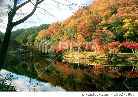 倒映著紅葉的秋天湖泊【鐮北湖、山根溜池】埼玉縣入間郡毛呂山町 倒映著紅葉的秋天湖泊【鐮北湖、山根溜池】埼玉縣入間郡毛呂山町 106275965