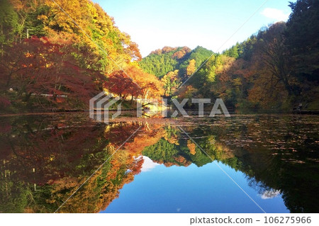 秋葉倒映的湖景【鐮北湖/山根溜池】埼玉縣入間郡毛呂山町 106275966
