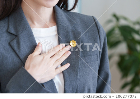 Female lawyer with a lawyer badge 106277072