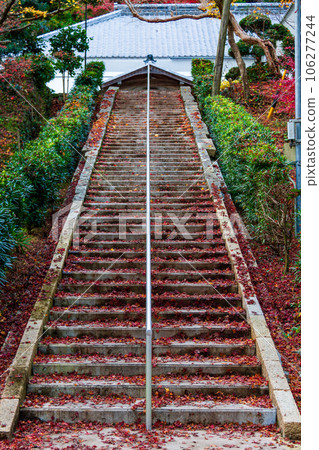 Scenery of Daitoin Temple and precincts, Tachibana, Mori-machi, Shuchi-gun, Shizuoka Prefecture Scenery of Daitoin Temple and precincts, Tachibana, Mori-machi, Shuchi-gun, Shizuoka Prefecture 106277244