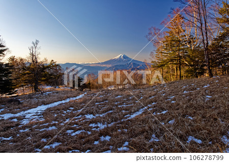Early morning Mt. Fuji seen from Mt. Karigaharazuri 106278799