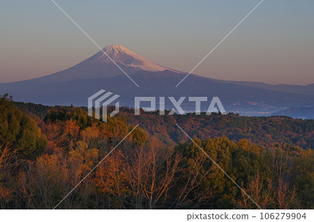 Mt.Fuji dyed in the morning sun against the background of a sunny sky and Darumayama Kogen in late autumn Ver1 106279904